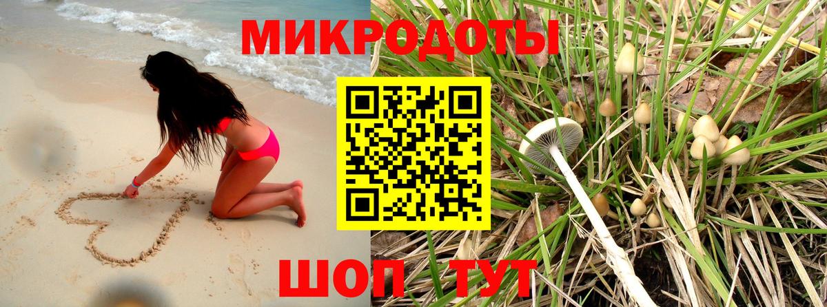 хочу наркоту  Вход с VPN  Энгельс  Псилоцибиновые грибы Psilocybe 